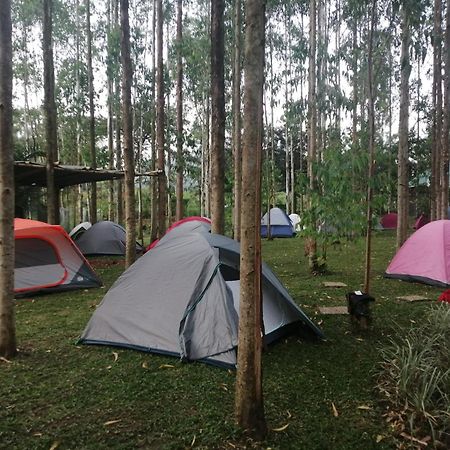 Murchison Backpackers Masindi Eksteriør bilde