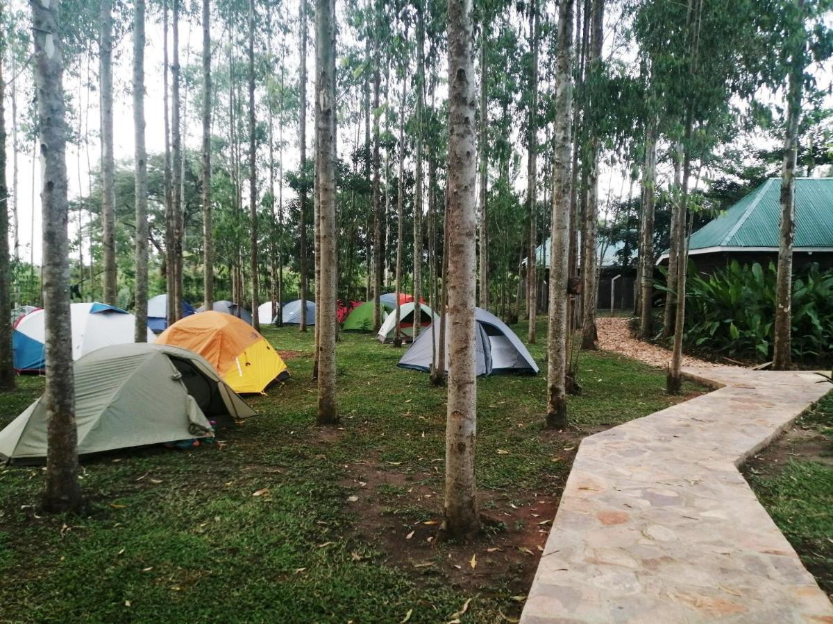 Murchison Backpackers Masindi Eksteriør bilde