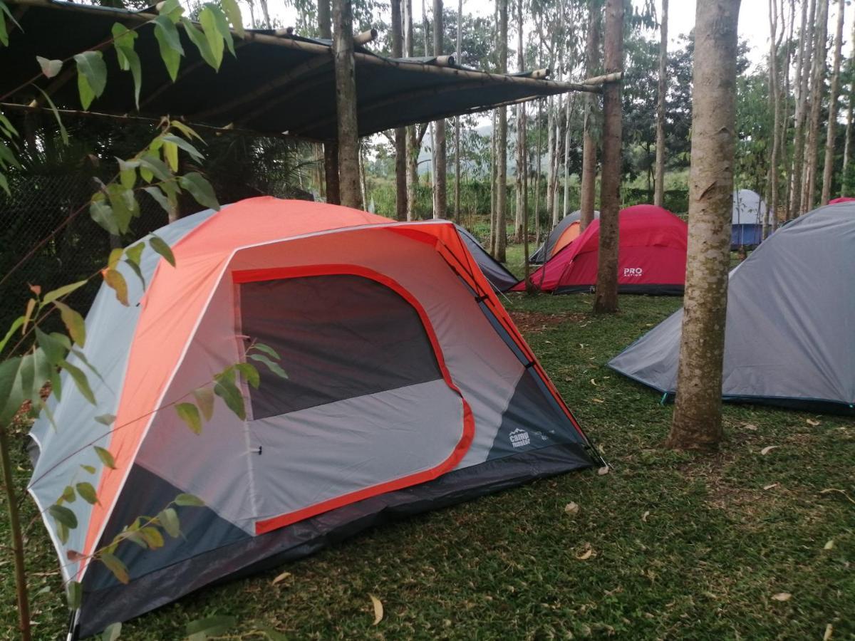 Murchison Backpackers Masindi Eksteriør bilde