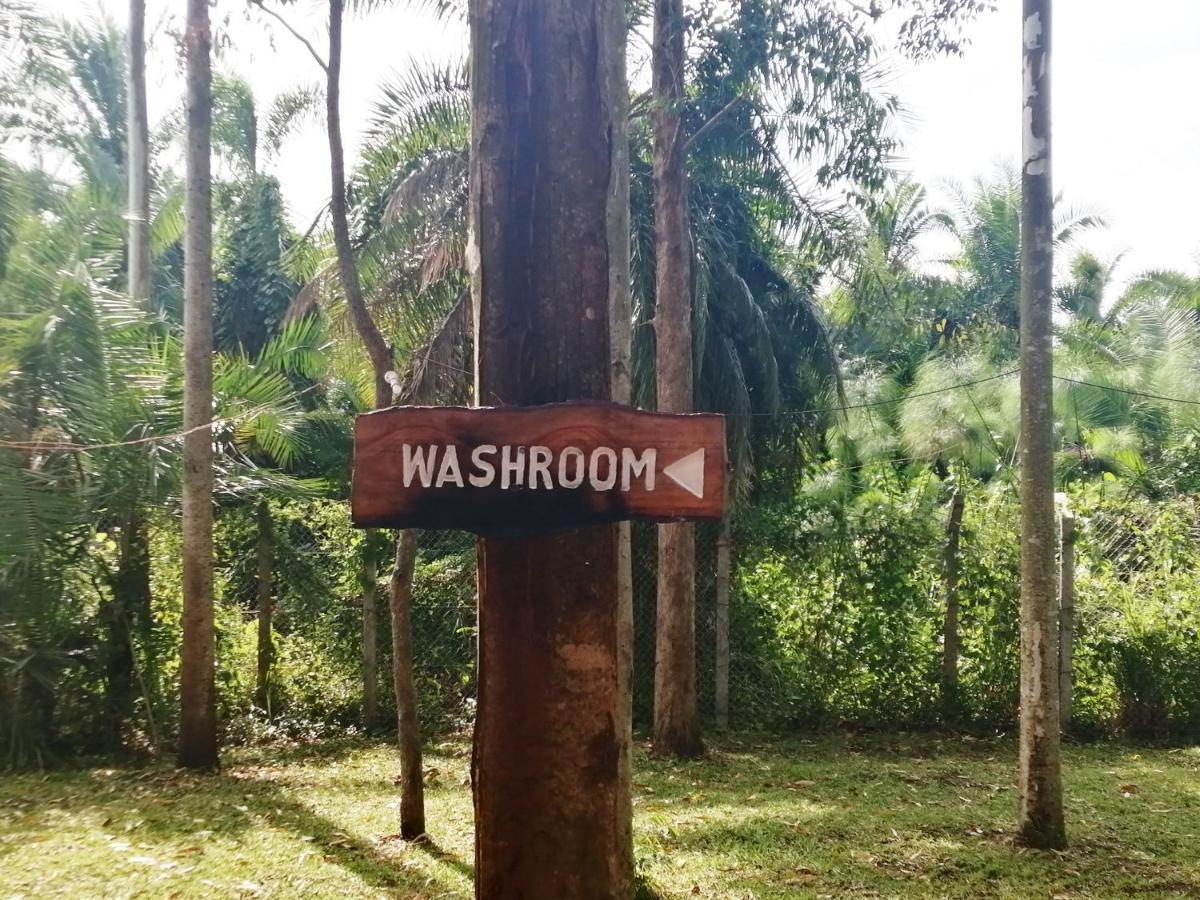 Murchison Backpackers Masindi Eksteriør bilde