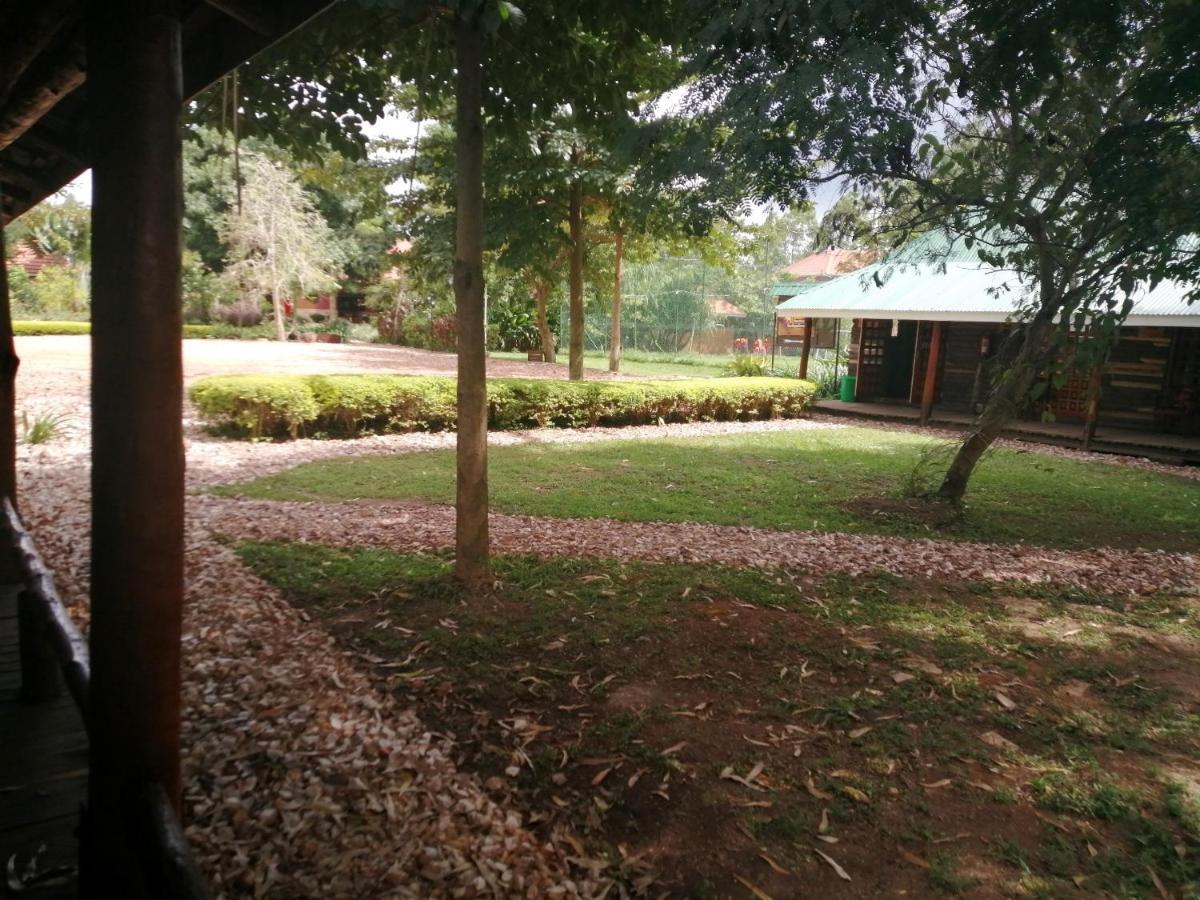Murchison Backpackers Masindi Eksteriør bilde
