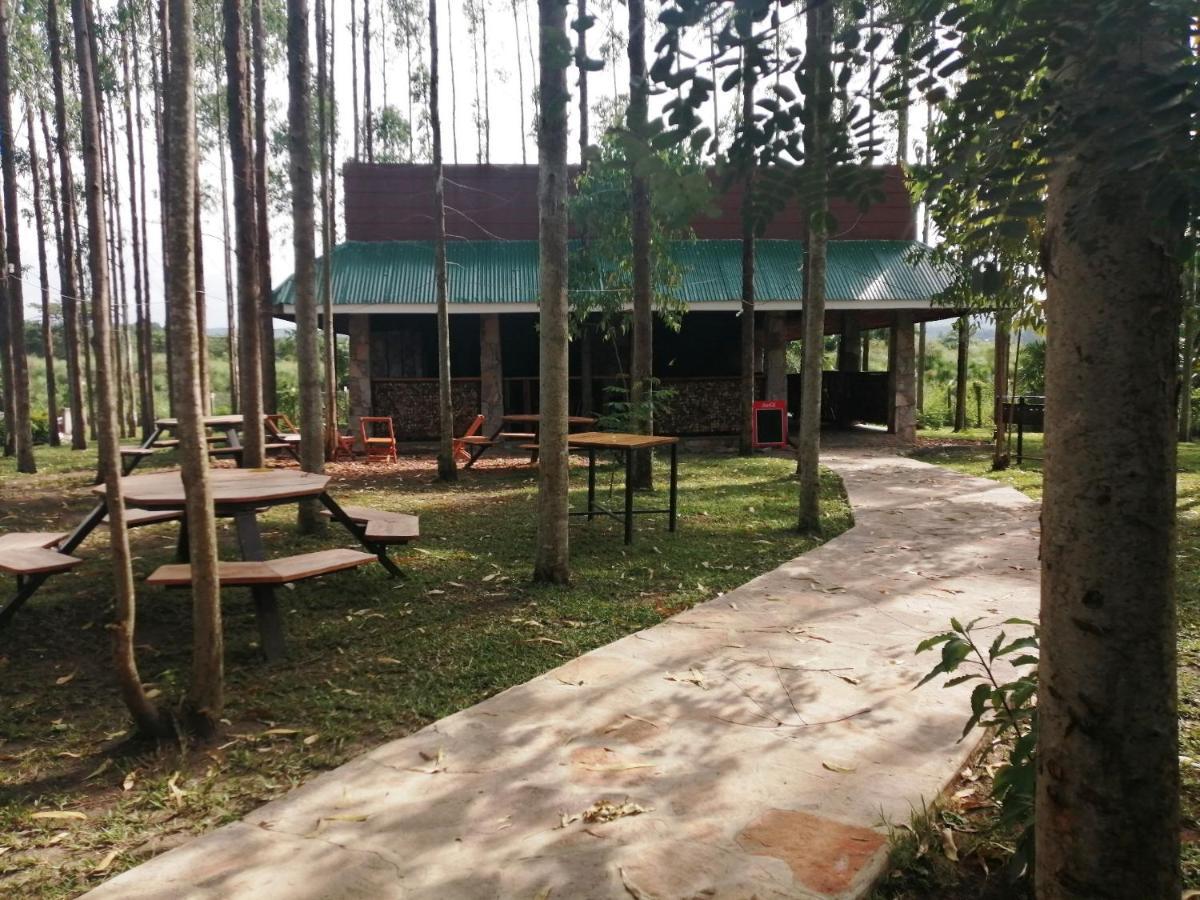 Murchison Backpackers Masindi Eksteriør bilde