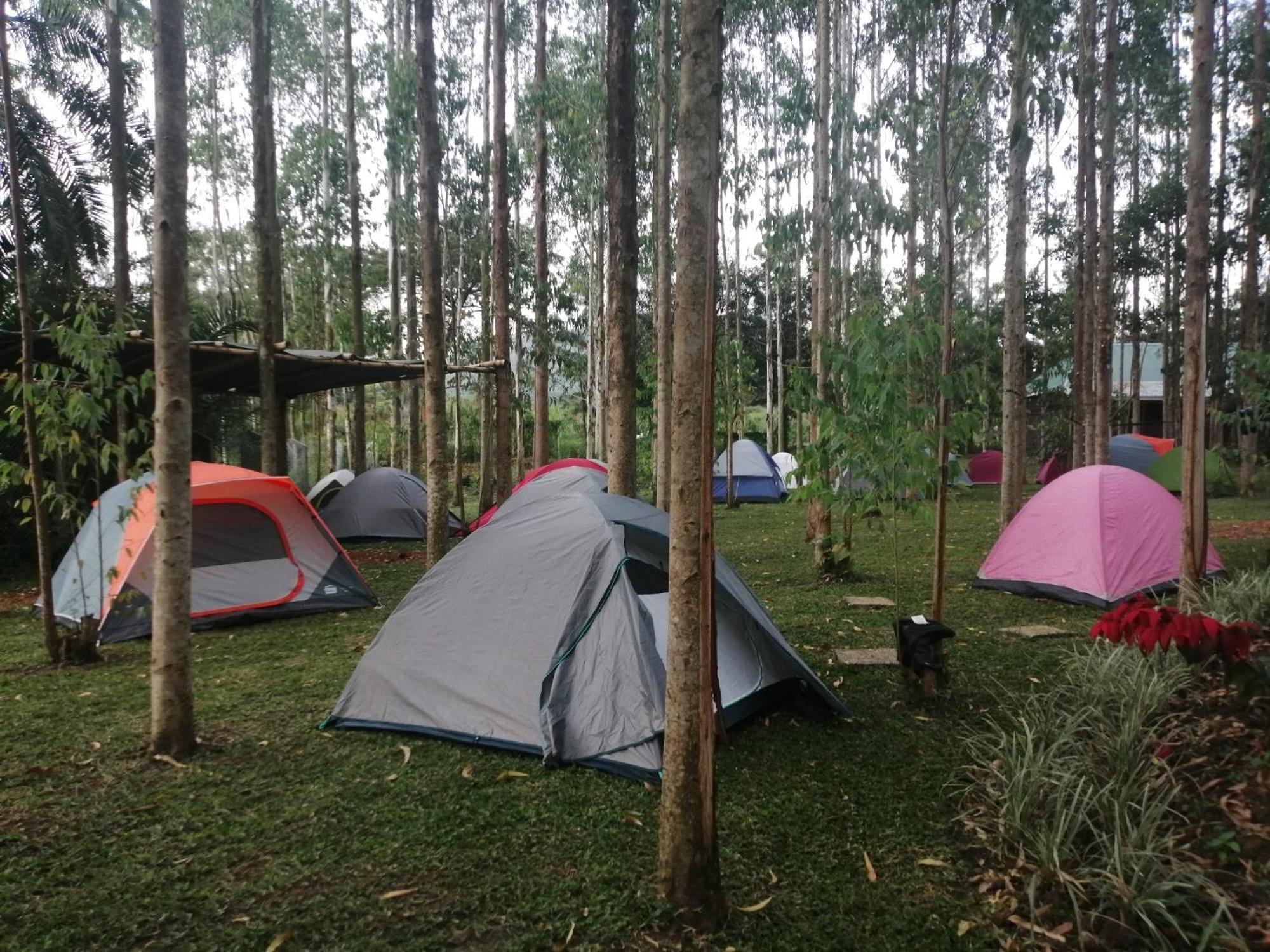 Murchison Backpackers Masindi Eksteriør bilde
